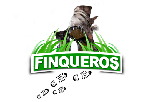 Nombre y apellido