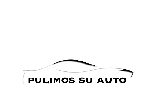 Pulimos su auto