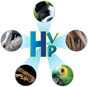 Healthy Pet Panamá Hospital Veterinario