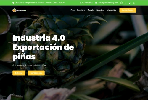 Industria 4.0 Venta de piñas Panamá Oeste