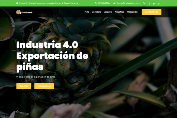 Industria 4.0 Venta de piñas Panamá Oeste