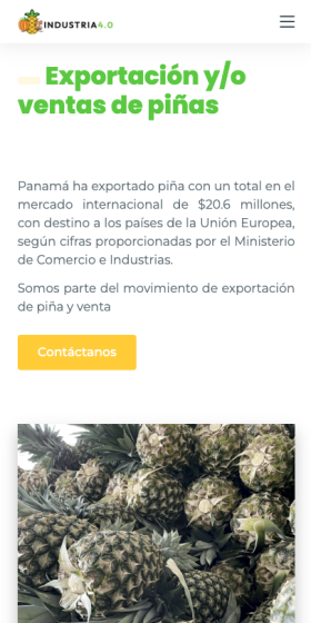 Industria 4.0 Venta de piñas Panamá Oeste