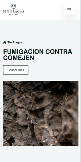Sin Plagas Panamá | fumigación de plagas en Panamá